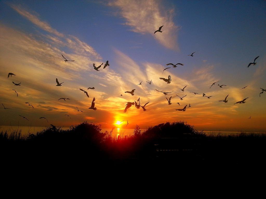 Sunset Guest House Hunstanton Exterior foto Sunset at the beach